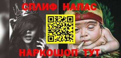 apvp Кингисепп