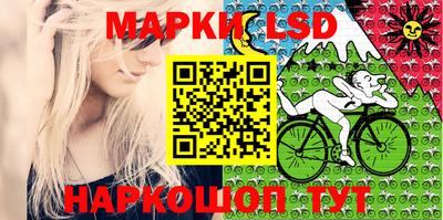 apvp Кингисепп