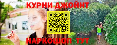 apvp Кингисепп