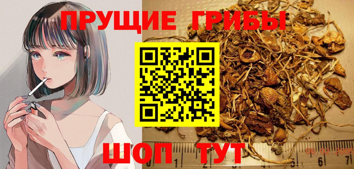 Галлюциногенные грибы Magic Shrooms Бутурлиновка